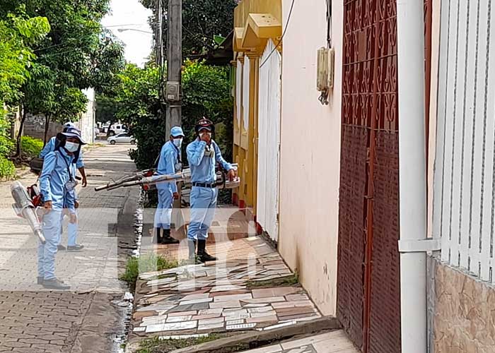Jornada de fumigación y lucha antiepidémica en Managua