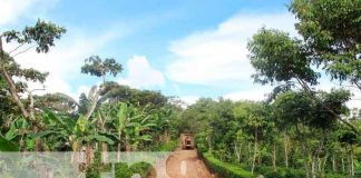 Reparan caminos rurales de cara a la temporada cafetalera en Jinotega