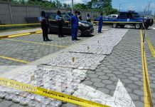 Incautación de más de 900 libras de marihuana en Managua