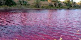 Cómo en la plagas de Egipto un río se vuelve color 'sangre' en Jordania