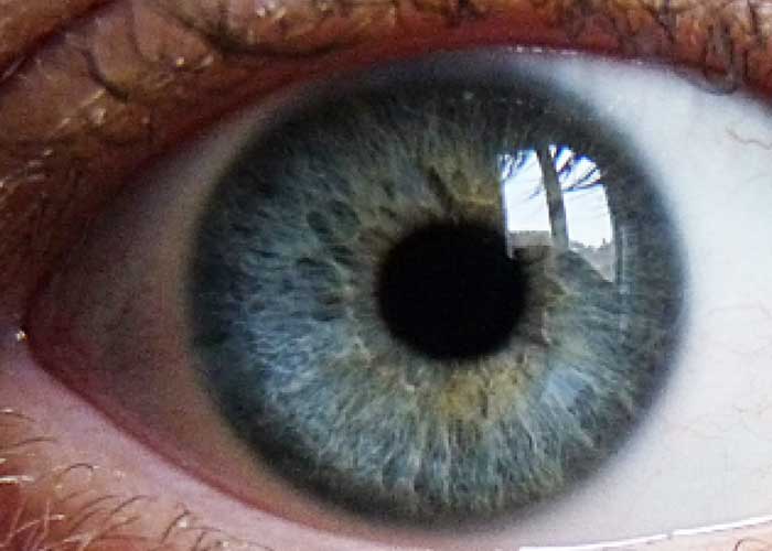 Originalmente todos los seres humanos tenían ojos marrones