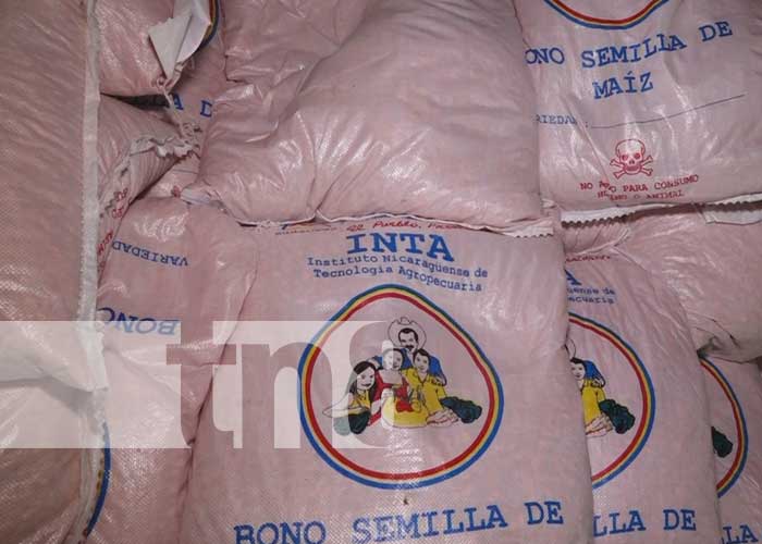 Bonos de semilla mejorada para productores de Condega, Estelí