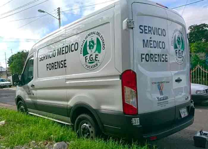 Un hombre con cáncer terminal mata a sus 13 perros y se suicida en México