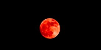 Luna de sangre está por iluminar el cielo nocturno este octubre.