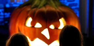 Espeluznante verdad detrás de calabaza, símbolo de la “noche de brujas”