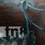 Roban cables de energía eléctrica en una Universidad de Rivas