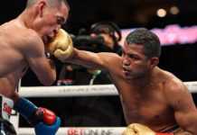 chocolatito, estrada, boxeo, trilogía,