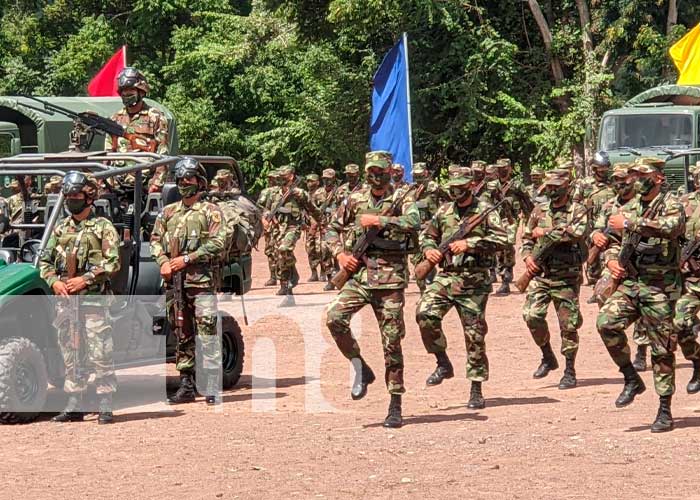 Ejército despliega sus tropas para asegurar la cosecha de café en la región uno