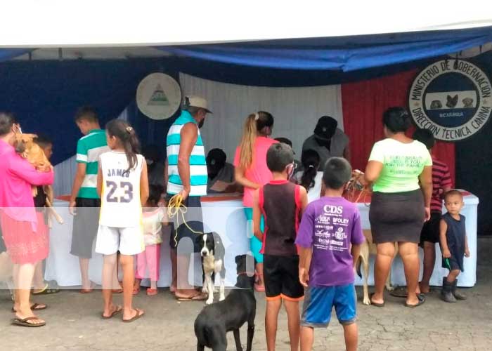 Brindan atención médica veterinaria a animales domésticos en Tipitapa