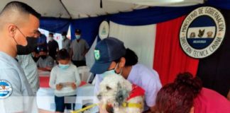 Brindan atención médica veterinaria a animales domésticos en Tipitapa