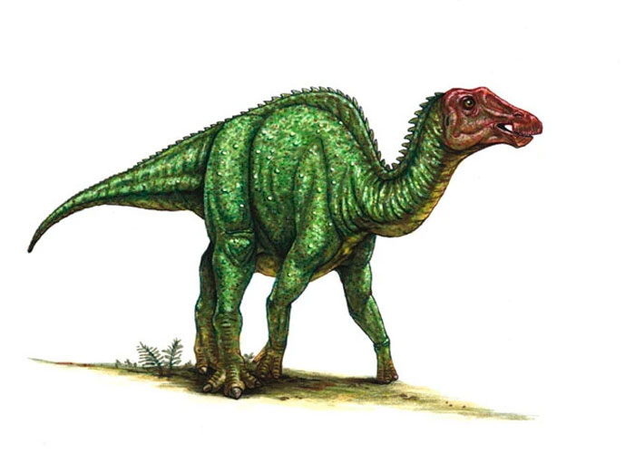 Paleontólogos descubren nueva especie de dinosaurio vegetariano en Australia