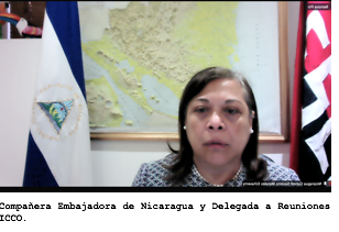 Nicaragua participa en reuniones del Consejo Internacional del Cacao