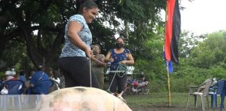 Recibimiento de Bonos de cerdas porcinas para mejorar la producción