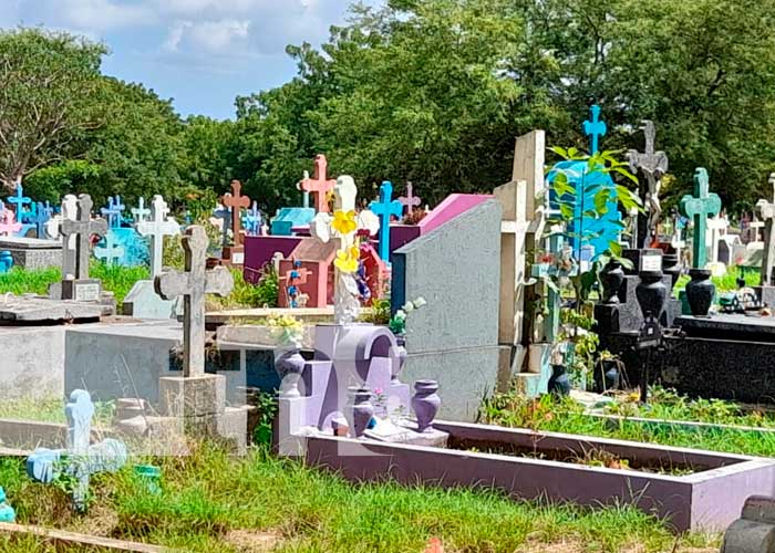  Limpieza de cementerios, una labor de la Alcaldía de Managua 
