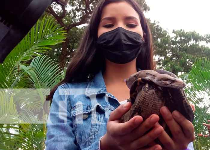 Nicaragua: concurso de fotografía para la belleza en flora y fauna