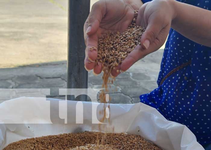 Acto por donación de trigo por parte de Rusia a Nicaragua