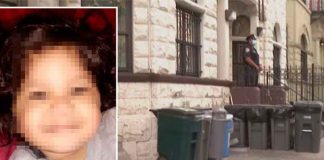 Niño de 3 años muere al caer desde la ventana de un edificio en Nueva York