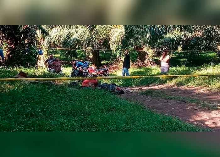 Nueva masacre en Honduras: Torturan y matan a tres hombres en Tocoa