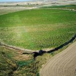 Desmantelan en Toledo, España la mayor plantación de marihuana