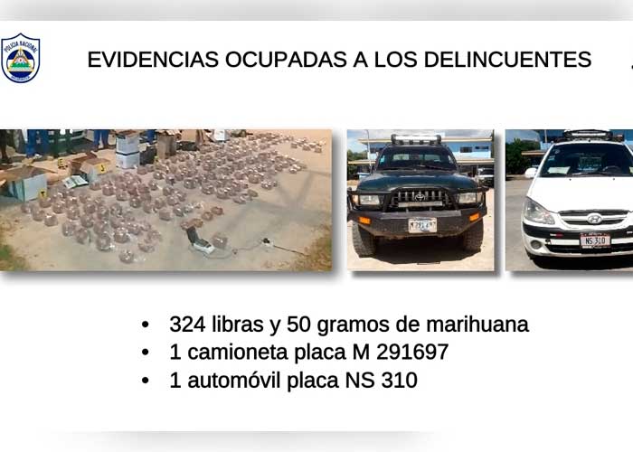 Incautan más de 300 libras de marihuana y capturan a 6 personas en Nueva Segovia