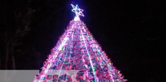 Elaboran el árbol navideño más grande de material reciclable en Bluefields