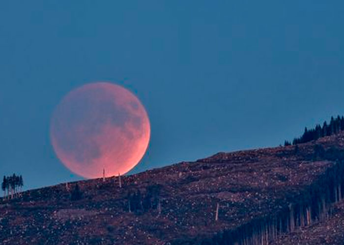 El eclipse de luna es conocido como luna de sangre porque adquiere ese color al cubrirse con la sombra del planeta Tierra
