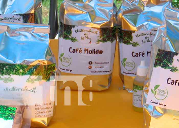 Primer Festival Nacional del Café con pequeños emprendedores en Managua | TN8