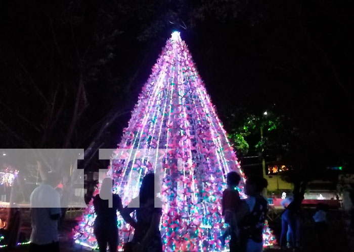 Elaboran el árbol navideño más grande de material reciclable en Bluefields