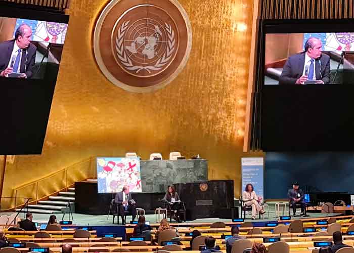 Nicaragua en reunión de evaluación del Plan acción mundial de ONU 