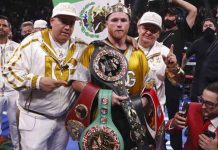 boxeo, canelo, plant, supermediano, mexicano