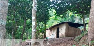 Lugar donde ocurrió un terrible crimen en Wiwilí, Jinotega