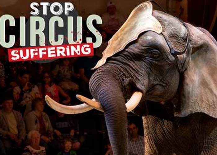 Francia contra el maltrato animal en los circos