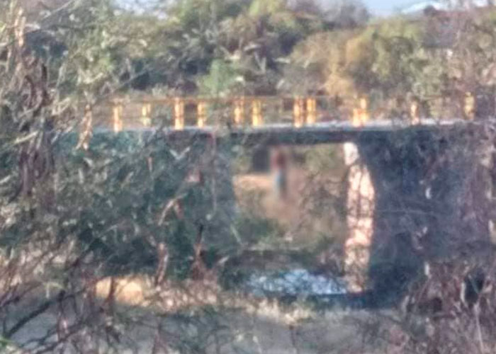 Colgados de árboles y un puente, hallan ocho cuerpos en México