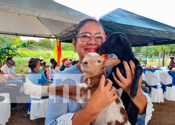 Exposición del INTA sobre ovinos y caprinos en Nicaragua