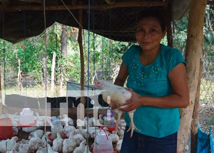 Oportunidades de negocios con microcréditos en el campo en Madriz