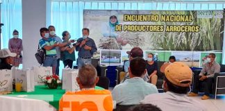 Nicaragua: Productores arroceros participaron de un encuentro nacional con el INTA