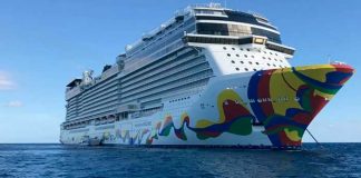 Brote de COVID-19 en crucero que llegará a EEUU tras viaje por México y Honduras