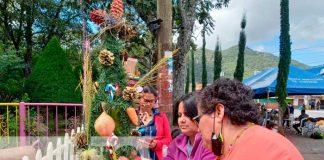 Promueven creatividad con bonitos arbolitos navideños en Jinotega