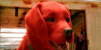 ‘El gran perro rojo’, una inusual mascota que nos enseña a aceptarnos como somos