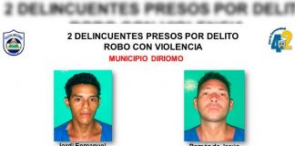 Detienen a 9 sujetos por varios delitos en Granada