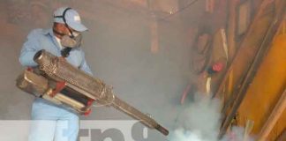 Más de 700 casas fueron fumigadas por Minsa en el Barrio San Luis