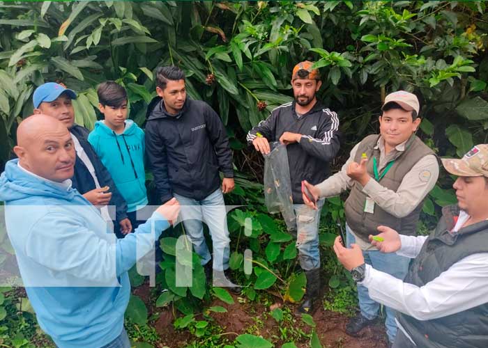 Zoocriadero de ranas ojos rojos en Jinotega