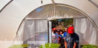 Inauguran microtúnel para el cultivo de hortalizas en Nandaime