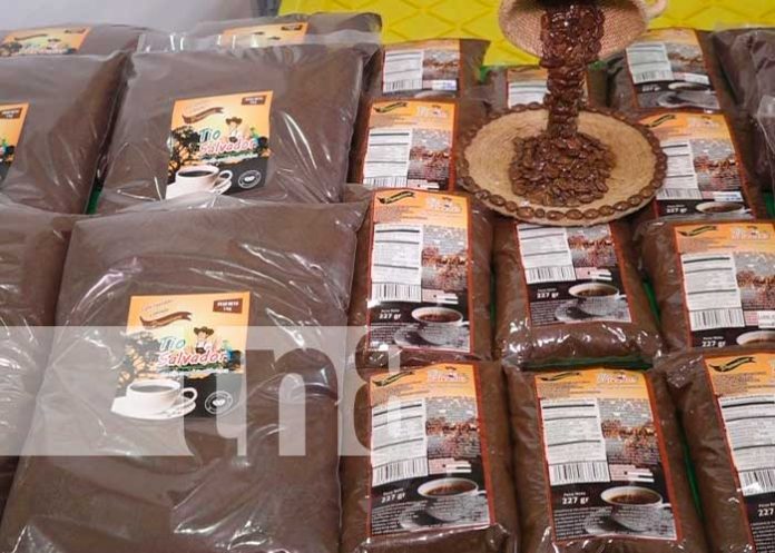 Expo café una de las oportunidades para productores de Estelí