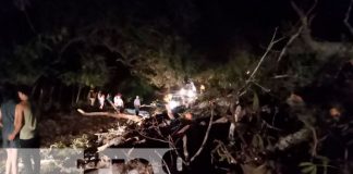 Trafico paralizado por caída de árbol en la carretera Comalapa, Juigalpa