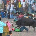 ¡Brutal! En Colombia toro cornea y mata a joven; le perforó el corazón