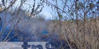 Quema de maleza en terreno de Nejapa, Managua