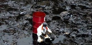 Emergencia ambiental por el derrame de petróleo en las costas de Perú