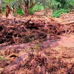 Desborde del Río Tarija, Bolivia deja 4 muertos y más de 20 desaparecidos.