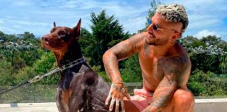 El perro doberman de Maluma lo ataca